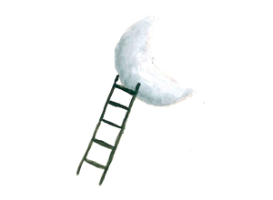 SocialMediaStrategist